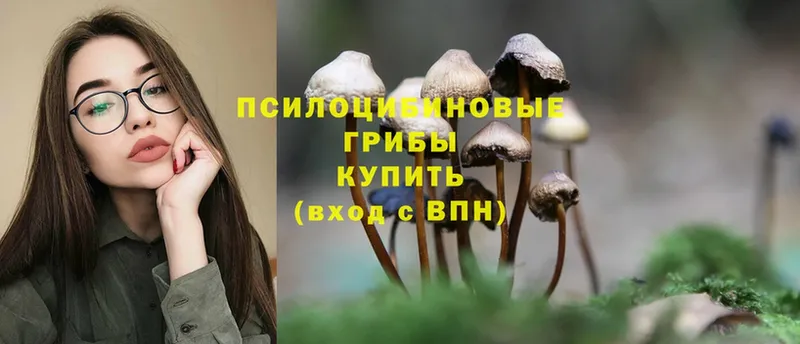 Галлюциногенные грибы Magic Shrooms  hydra онион  Ак-Довурак  как найти закладки 